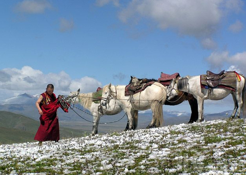 玉树地震_2016玉树旅游收入(3)