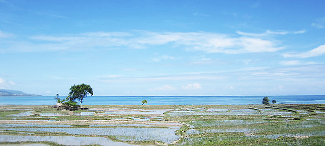 东帝汶旅游