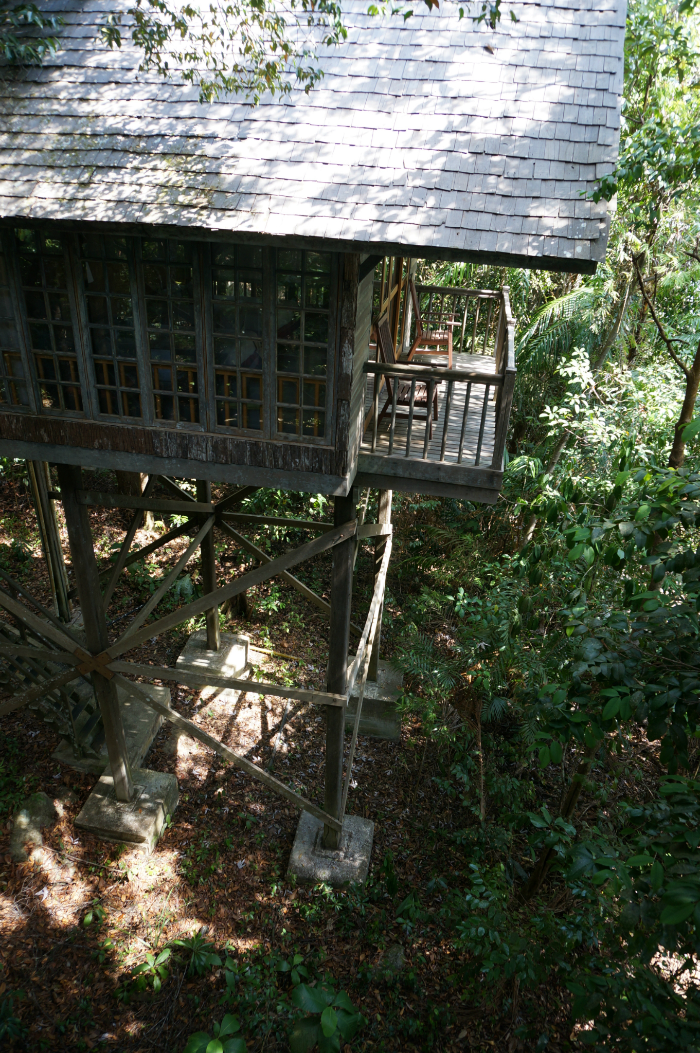 马来西亚古晋活动篇(一)——山都望旅游区 热带雨林探险