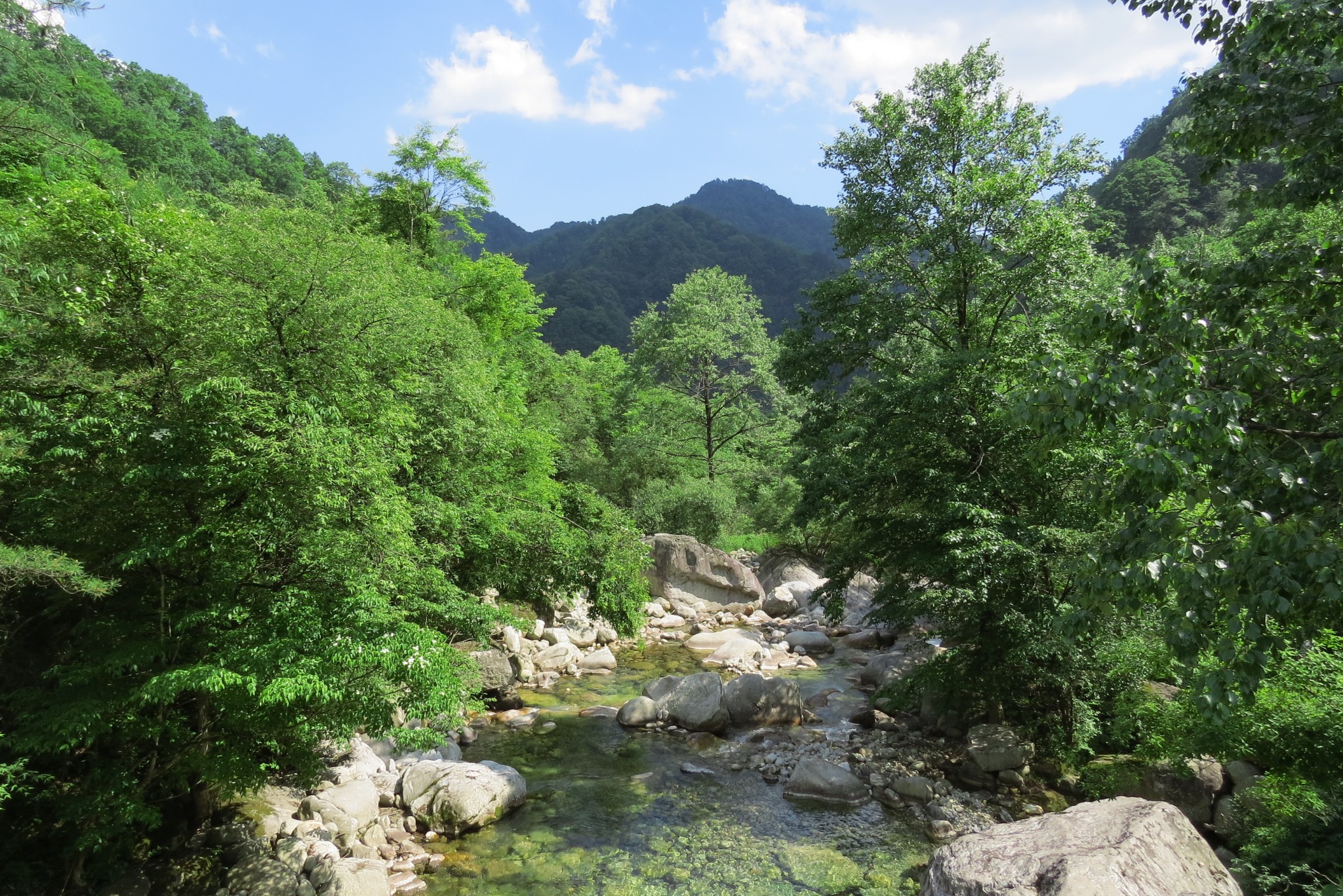 华阳古镇是通票,景区很大,来回要乘坐景区的旅游车.