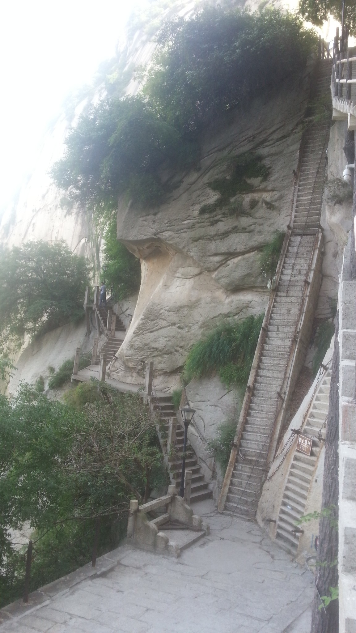 智取华山路         