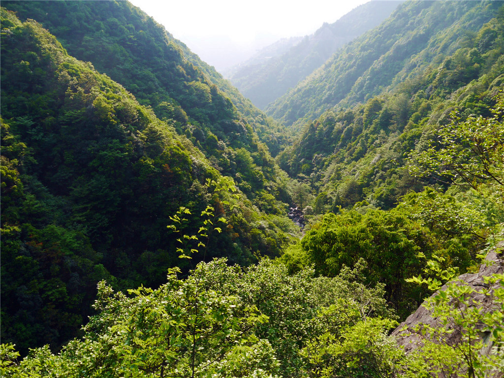 201651永嘉楠溪江四海山森林公园