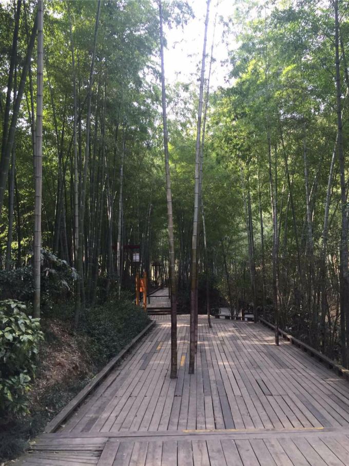一出门就碰上了一件被自己智商打败的事情,在此省略一万字,只想引用闺蜜对我的一句评价智商绝对是硬伤。 虽然一路上的风景煞是美丽,但我却无心风景,也无心睡眠,四个多小时的车程,我全部的精力像打了鸡血一样都集中在我旁边的那个人身上了。 一上车这个人就把他那破旧的旅行箱扔到了对面的行李架上,然后礼貌的对坐在过道边上的我说:咱俩可以换一下座位吗?我的座位靠窗,下一站我就下车。于是我不假思索的连忙点头,你咋知道本姑娘的心思呀?真是吉人自有天相啊!当车内广播开始提醒准备下车的时候,小伙子竟然慢悠悠的起身去了卫生间