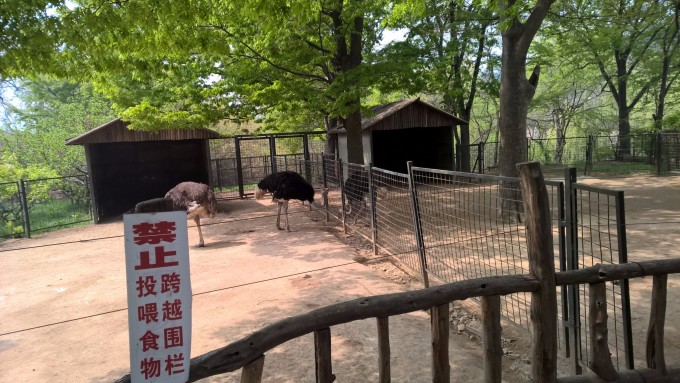 交通:从东营出发汽车转火车90元回程到高密待一天130 住宿:中央商务区如家快捷酒店一晚146 高密免费 吃饭:第一晚在山东路篷布拉大排档280元 第二天早上家乐福边上的拉面15元中午中山公园的排骨米饭20元 门票:动物园门票8.5 两栖馆10元 中山公园免费