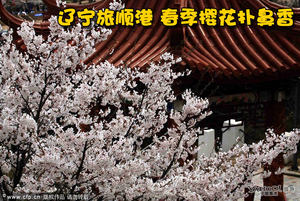 wKgBt0-LgI3geDIVAADWWlnUHyE01.jpeg?imageView2%2F2%2Fw%2F600%2Fh%2F600%2Fq%2F90