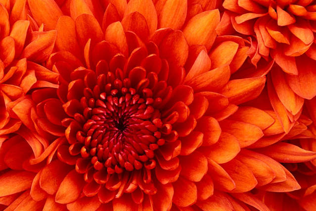wKgBpVWkAtSASJqRAADsHgK2DZM25.jpeg?imageMogr2%2Fstrip%7CimageMogr2%2Fthumbnail%2F%211070x804r%2Fgravity%2FCenter%2Fcrop%2F%211070x804%2Fquality%2F90