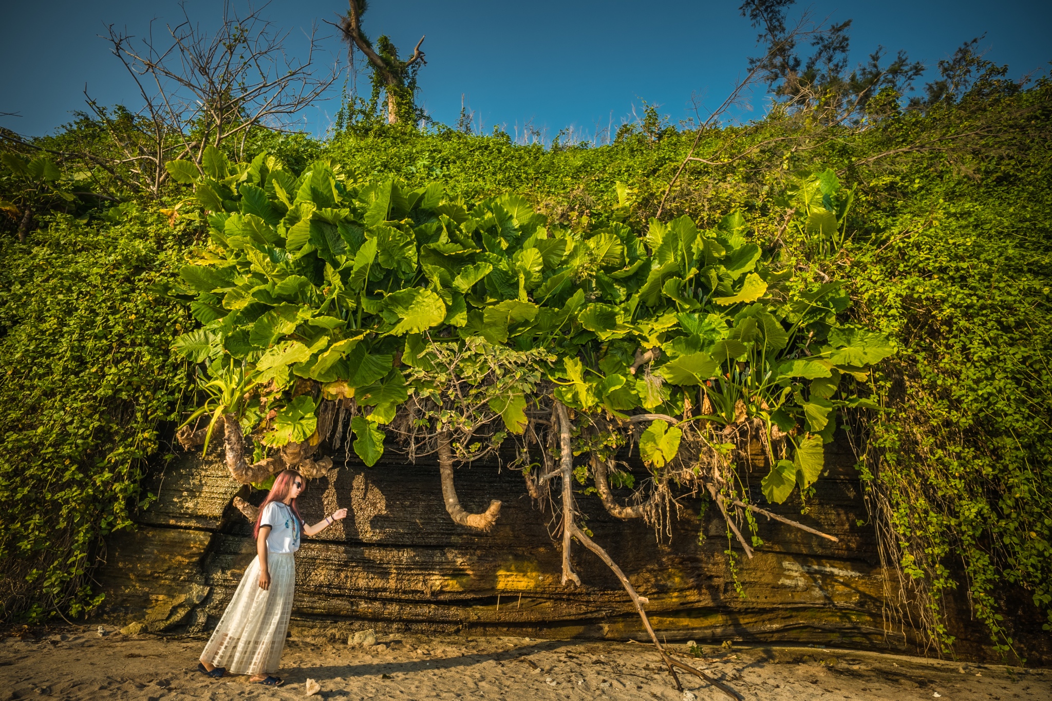花样游记大赛#涠洲岛—离开你的城市,一个小时带你到另外一个世界.